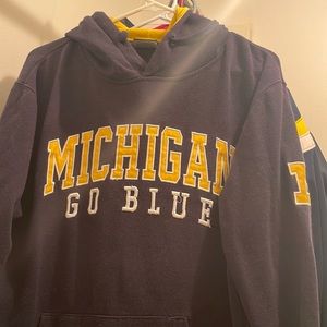Mens Michigan Wolverines hoodie